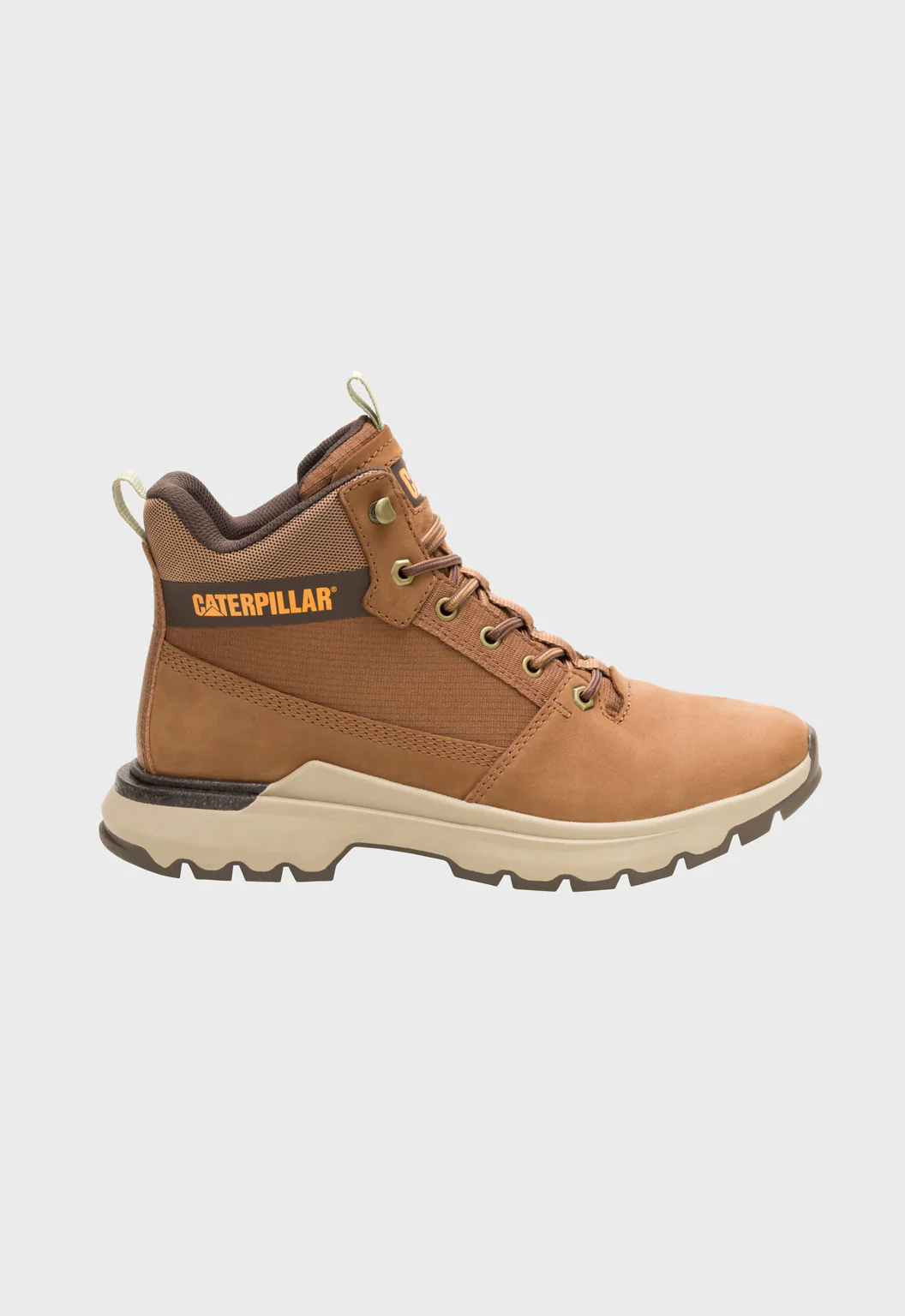 Colorado Sneaker Dachshund - Image 2