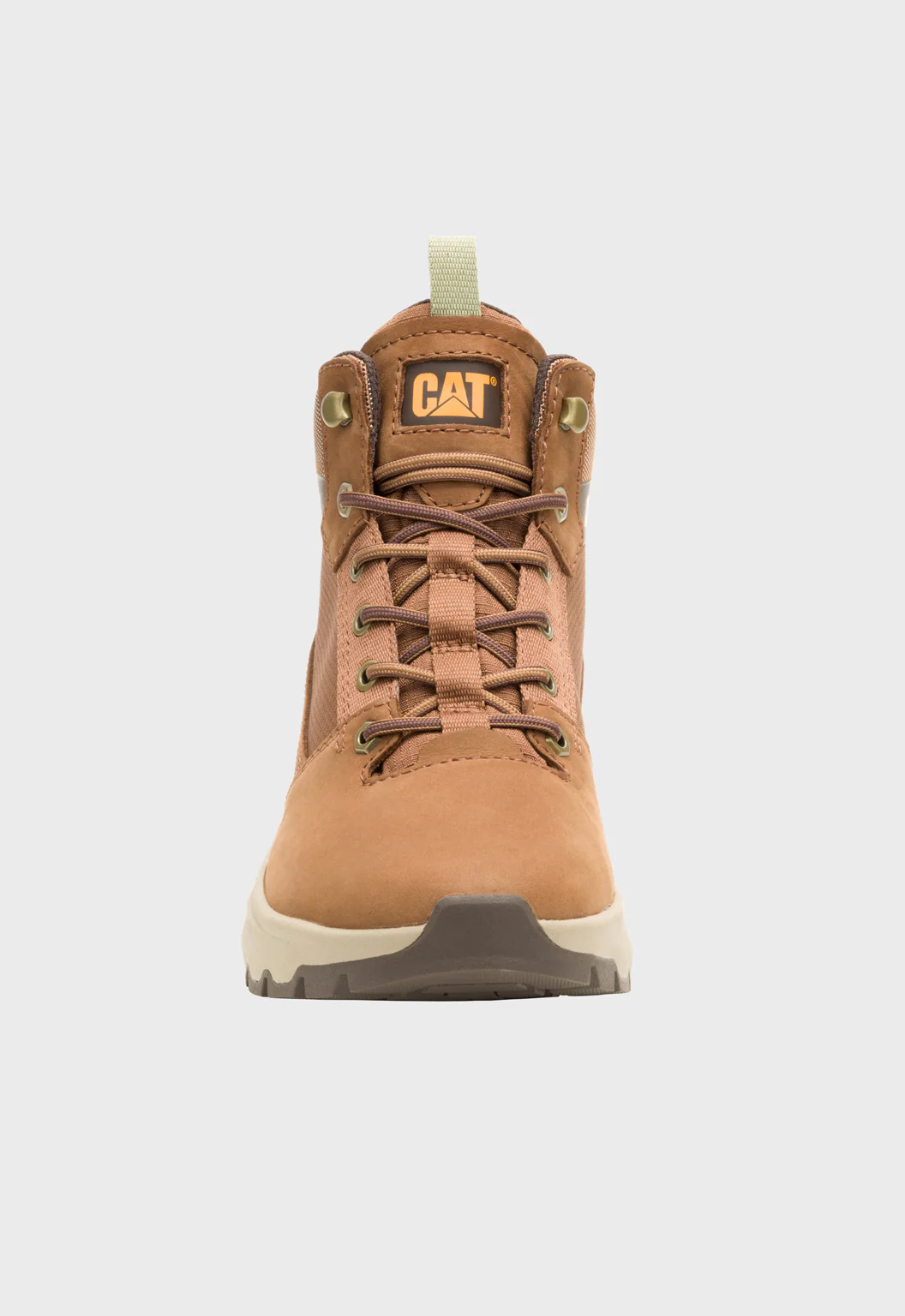 Colorado Sneaker Dachshund - Image 3