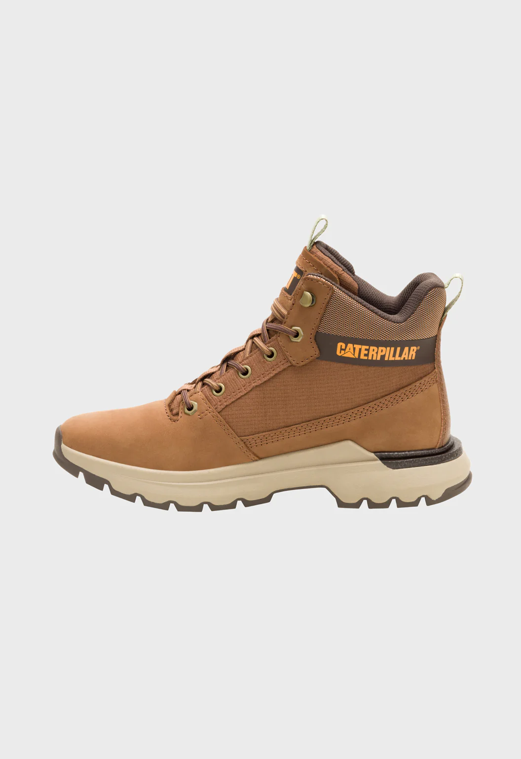 Colorado Sneaker Dachshund - Image 4