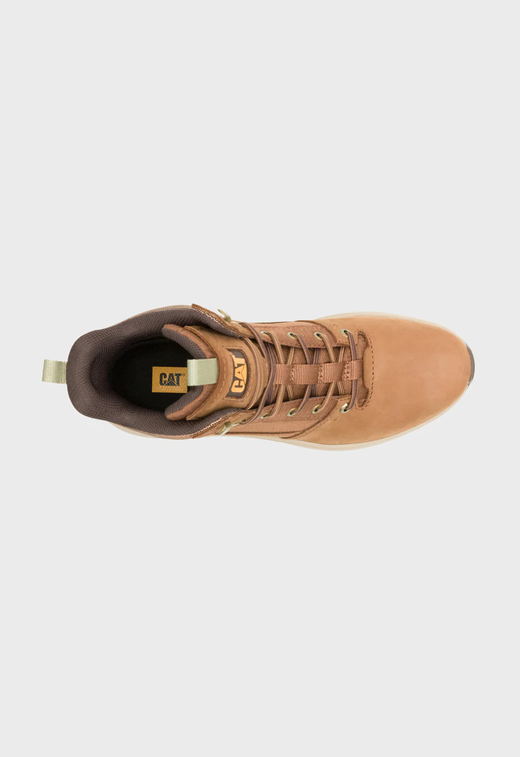 Colorado Sneaker Dachshund - Image 5