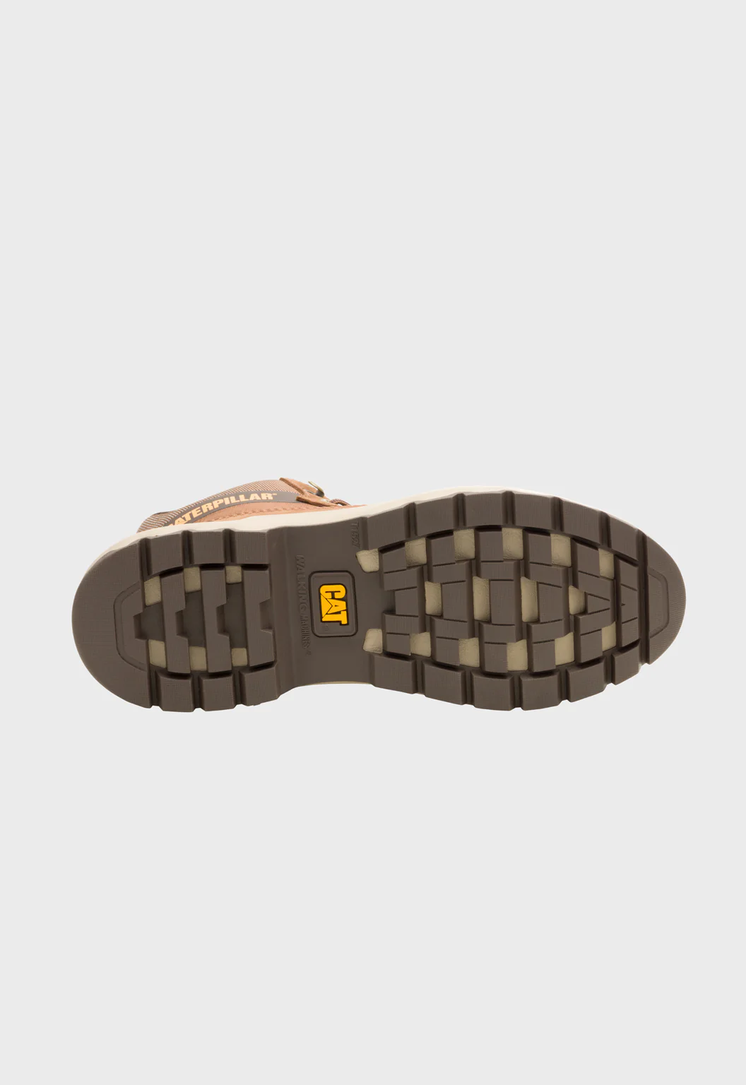 Colorado Sneaker Dachshund - Image 6