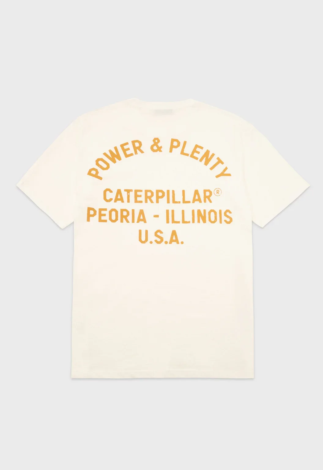Plenty T-Shirt - Bone - Image 2